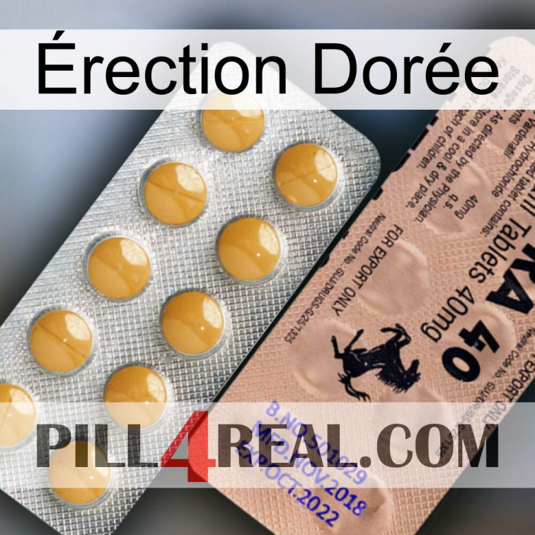 Érection Dorée 41